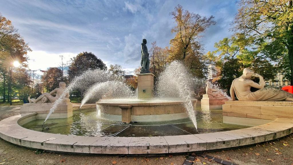 L'Observatoire - Centre Colmar - Vue sur Parc – Foto 26