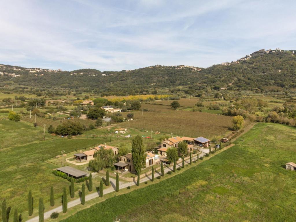 an aerial view of a home in a field with trees at Apartment Casa Ricardo n- 4 by Interhome in Montefiascone