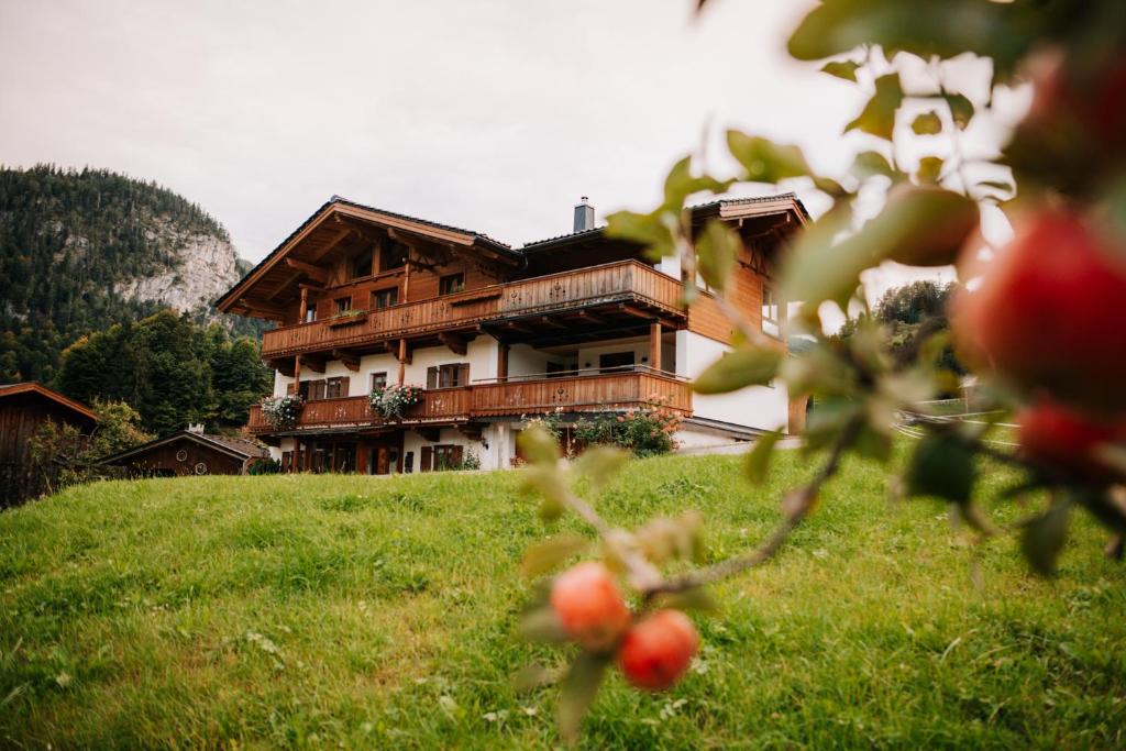 Κήπος έξω από το Ferienwohnung Niederbergerhof