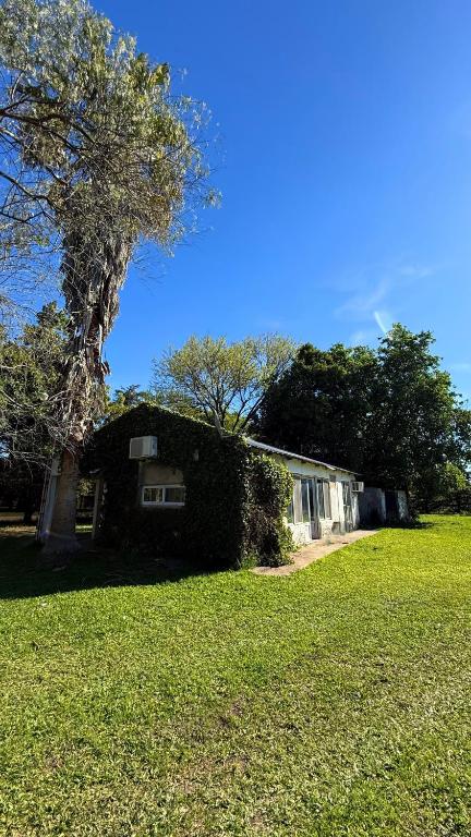 ein Haus mit einem Baum neben einem Grasfeld in der Unterkunft Quinta Villa Glori in Villaguay