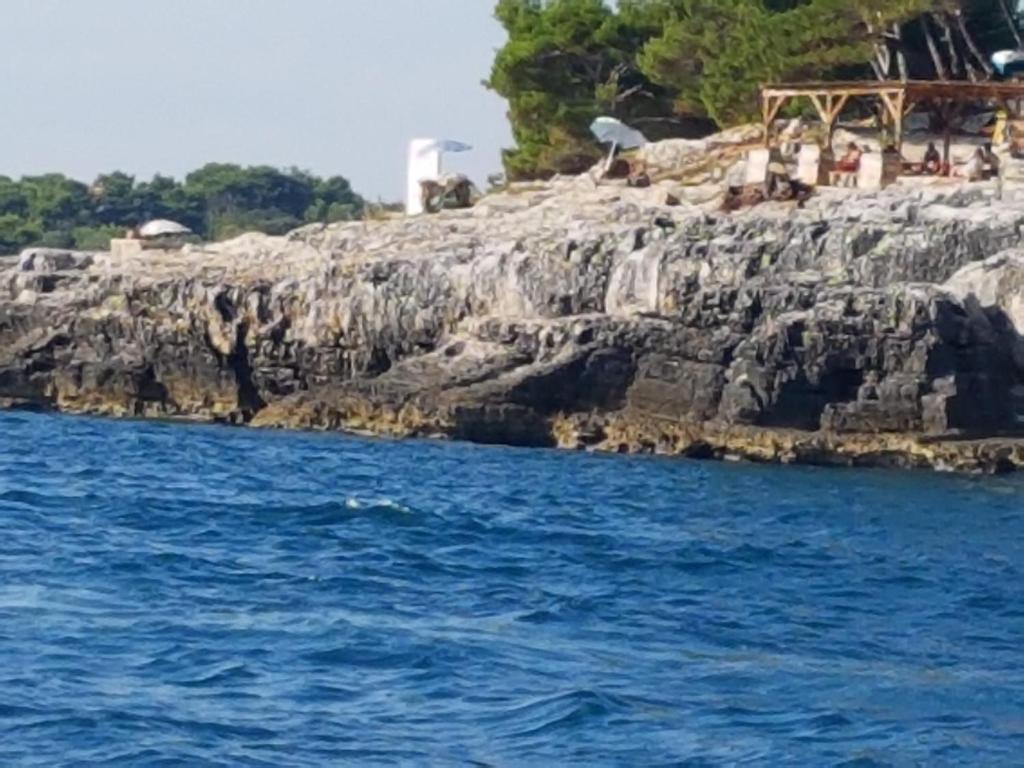 Příroda nedaleko apartmánu