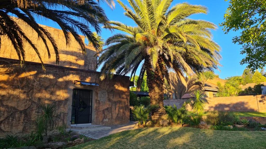 a palm tree in front of a building at Bedrock inn in Harrismith
