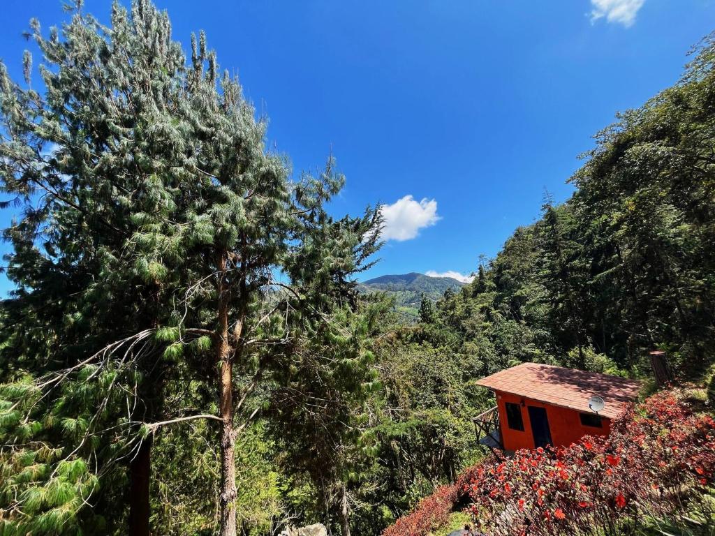 a house in the middle of a forest with trees at Mama Anzas house in a magical mountain in Villabol