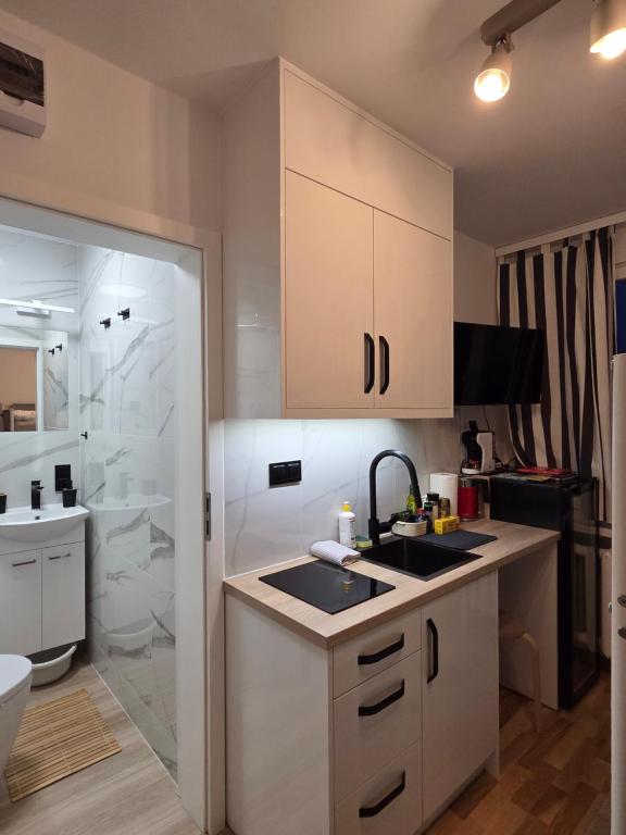 a small kitchen with a sink and a shower at STUDIO dla 2 osób in Suwałki