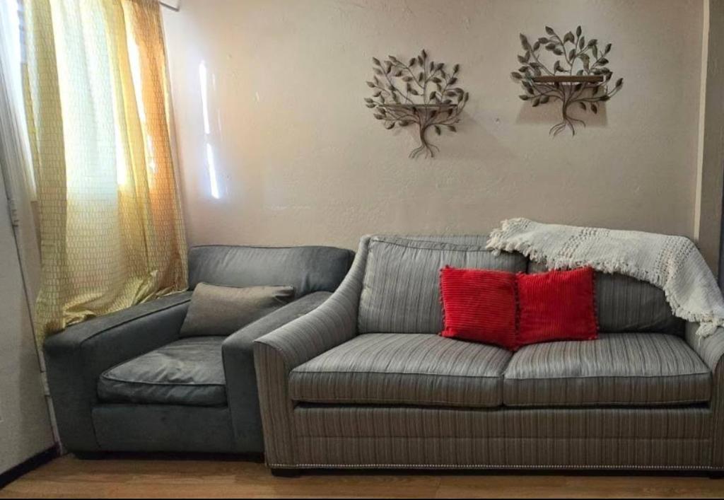 a living room with a gray couch and red pillows at U3 - Comfortable 1 BR & 1 BA APT in DT PHX with pkg in Phoenix