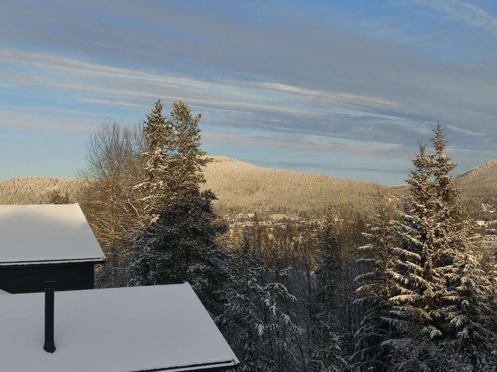 Φυσικό τοπίο κοντά σε αυτή η βίλα
