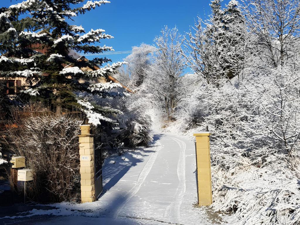 einen schneebedeckten Weg mit Bäumen und einem Zaun in der Unterkunft Au Fil Du Réguinier - Gîte Briançon in Forville
