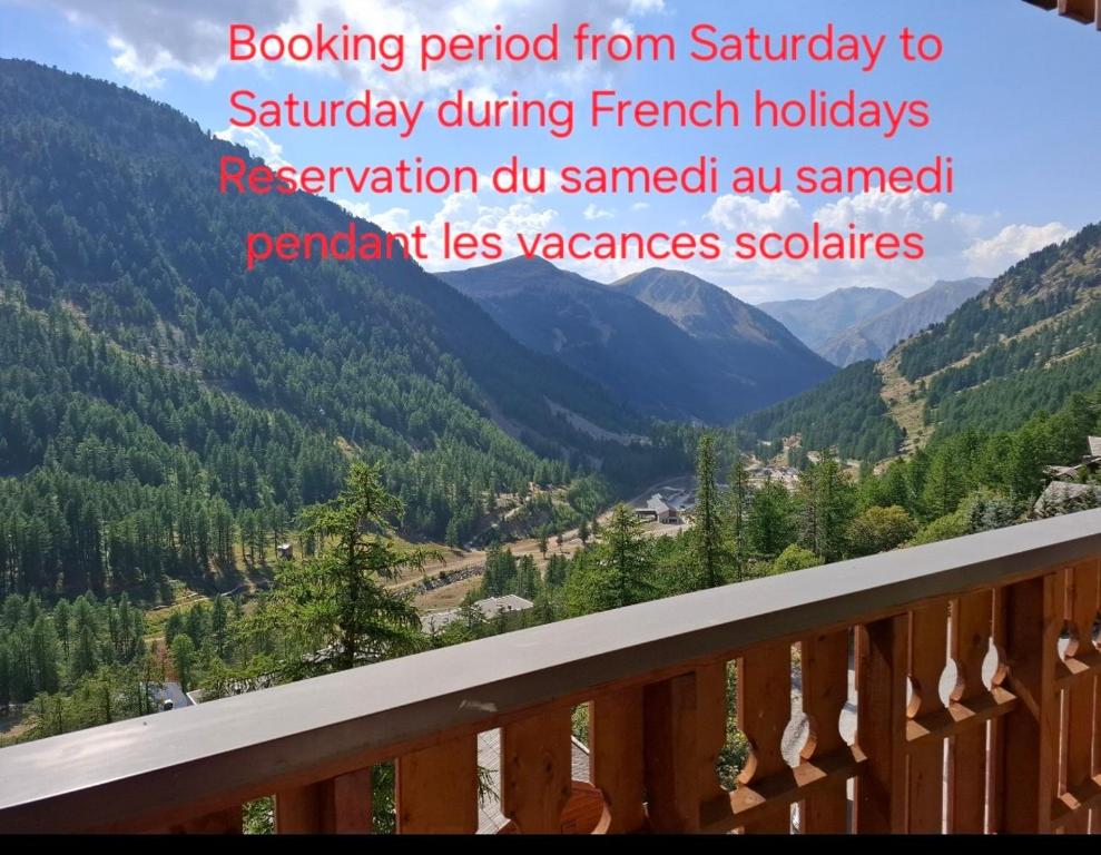 イゾラ 2000にあるTrès bel appartement dans le centre d'Isola 2000 avec balcon exposé sud ouestのバルコニーから渓谷の景色を望めます。