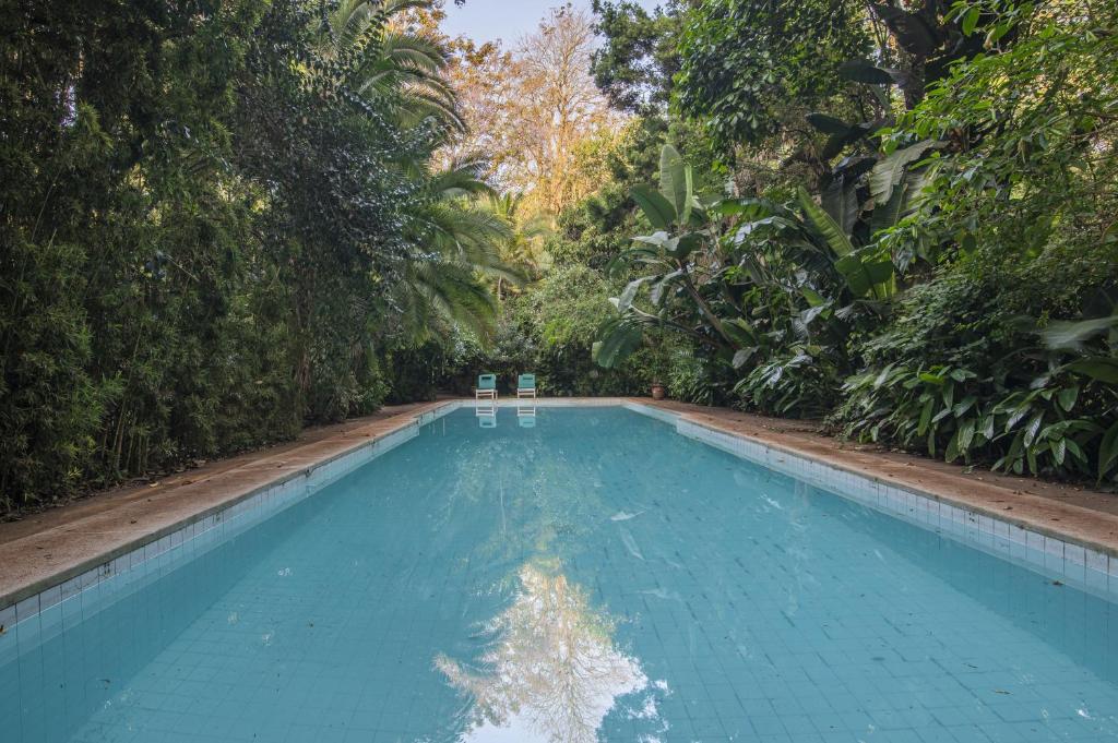 a swimming pool in the middle of a forest at Pool House Studio by YourHost Karen Nairobi in Nairobi