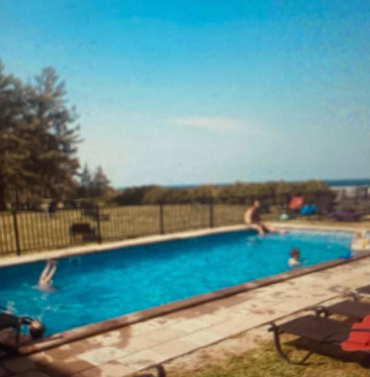 a large blue swimming pool with people in it at Snäckbacken Visby in Visby