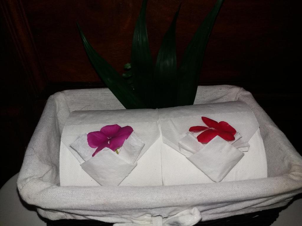 Rancho de Lelo Ecolodge - Quadruple Room - Disability Access