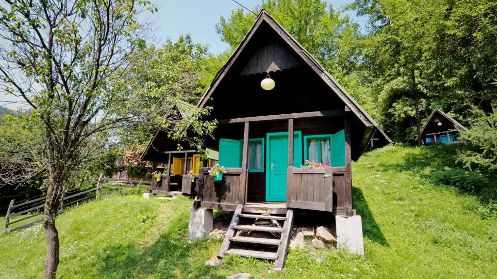 a small house with a green and black roof at Pensiunea Dacica in Boşorod