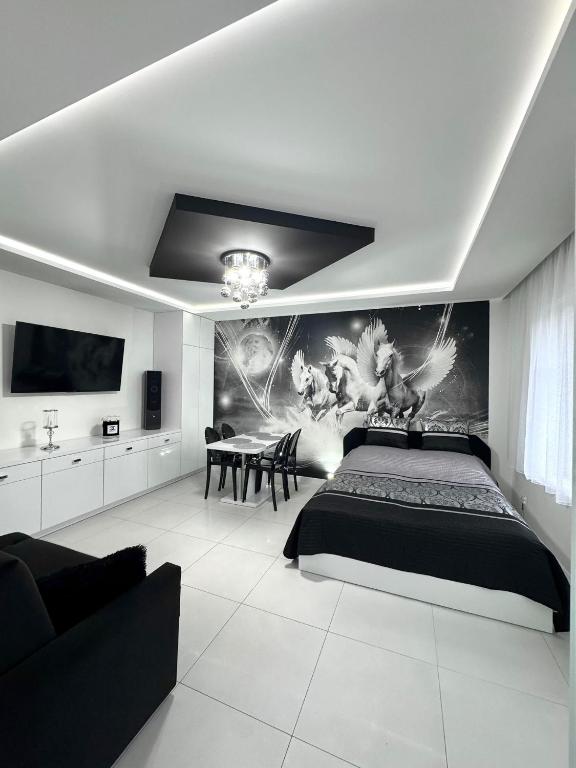Apartament Pegaz - スタジオ