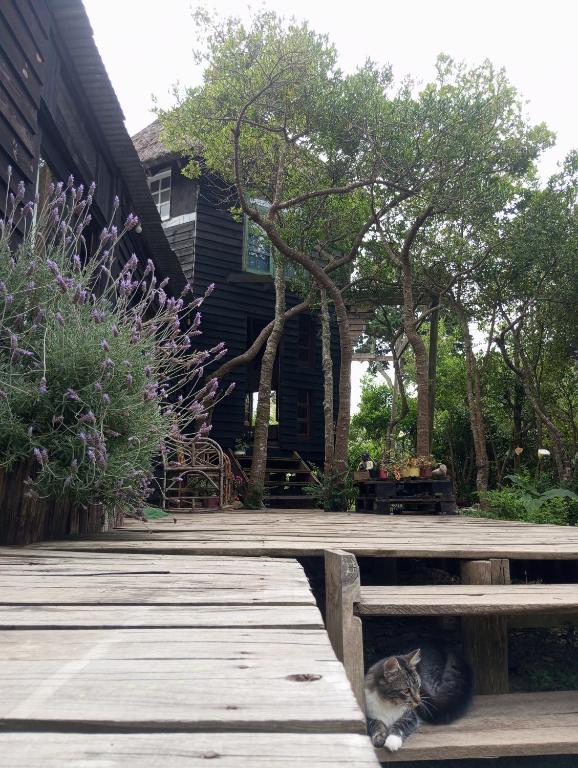 a cat laying on a wooden deck next to a house at Morocha in Estación Costa Azul
