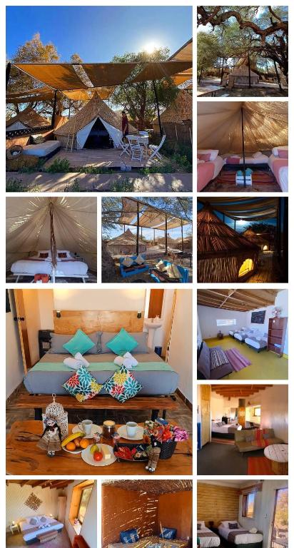 圣佩德罗·德·阿塔卡马Atacama Loft & Glamp的帐篷不同图片的拼贴画