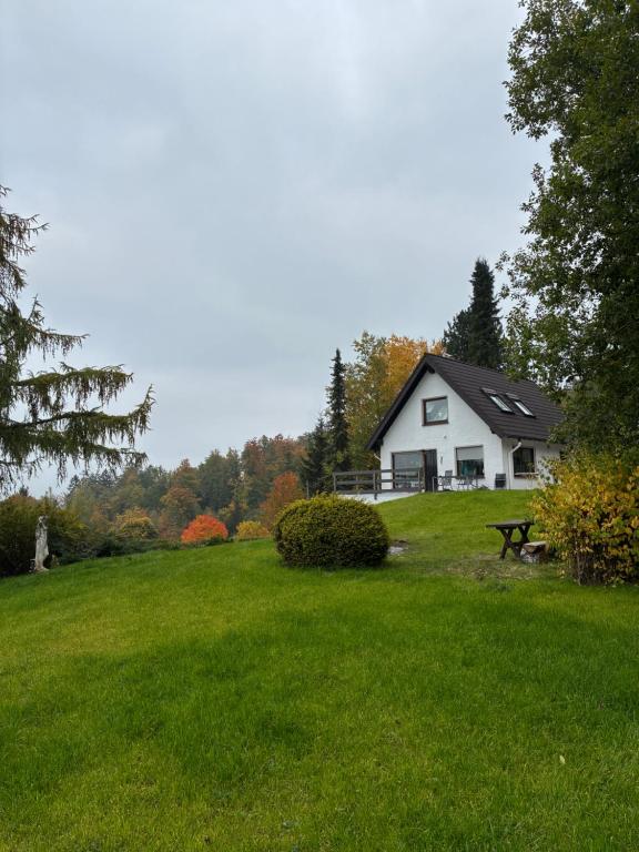 une maison blanche sur une colline avec une cour herbeuse dans l'établissement Haus Tierlieb, à Stadtkyll