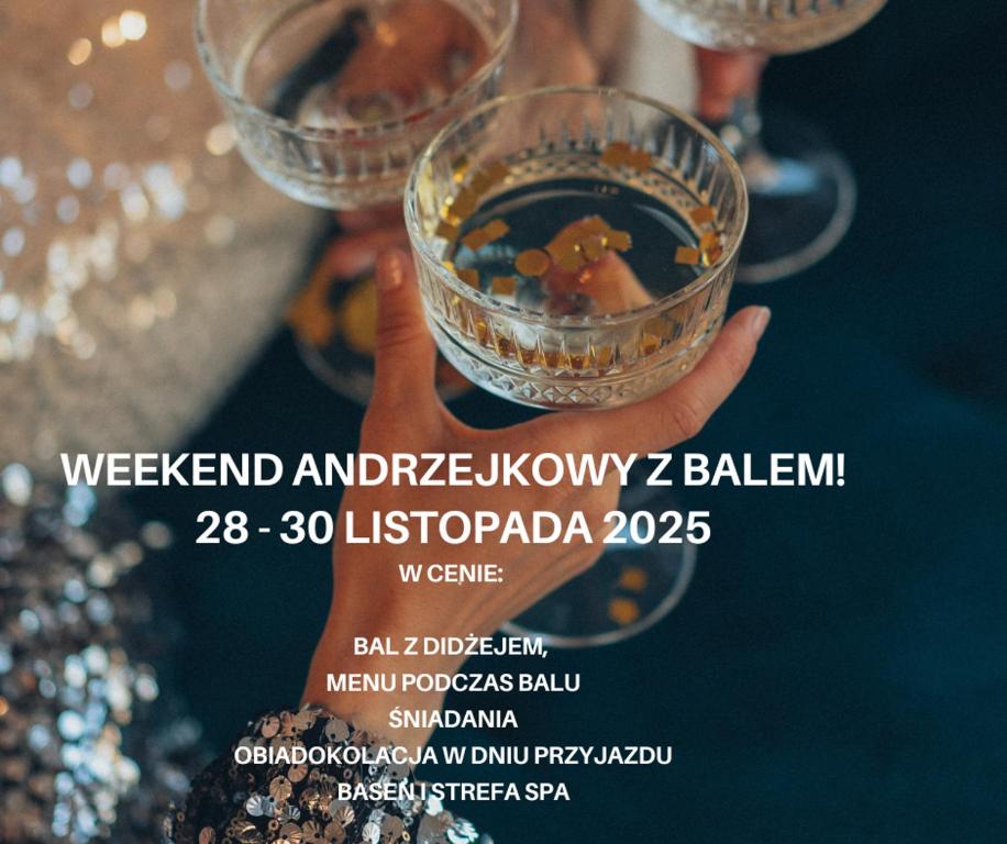 Un cartel para una cata de vinos con una mujer sosteniendo dos copas de vino. en Villa Wernera Hotel & Spa, en Szklarska Poręba