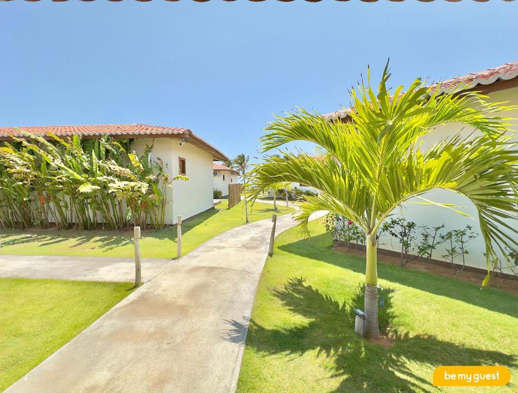 a palm tree in a yard next to a house at Beach-Home Pontal de Maceió in Fortim