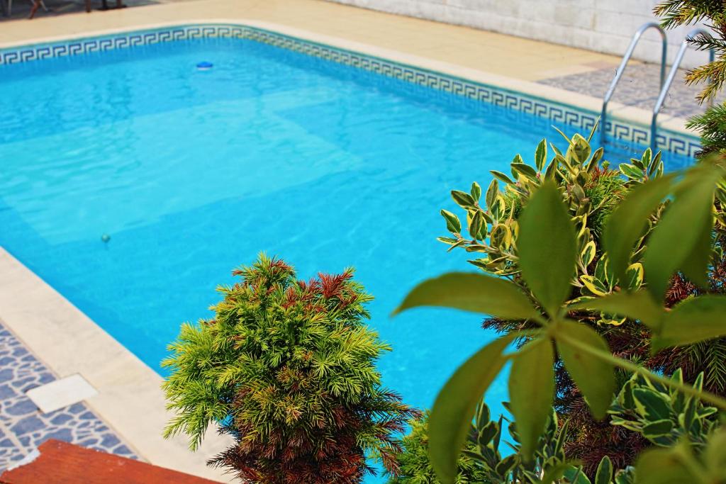 a blue swimming pool with plants in the foreground at Residencial Pinho Verde in Mealhada