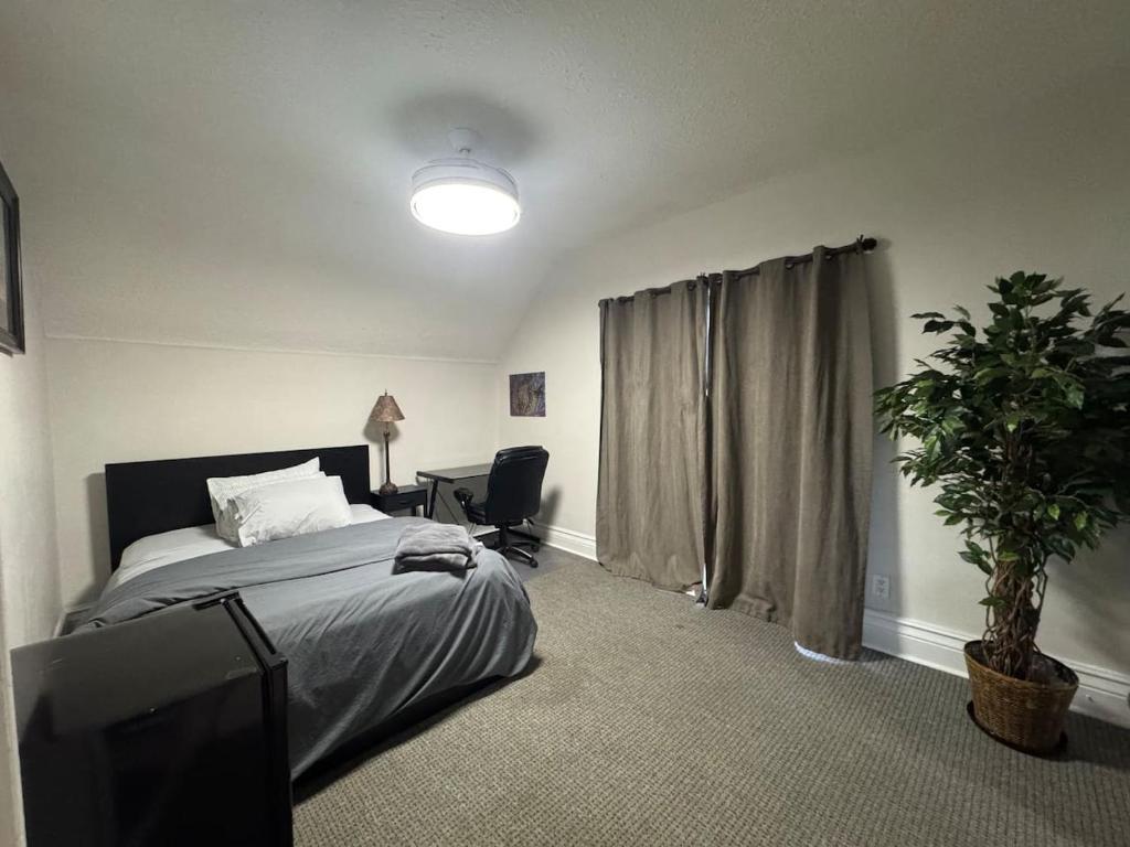 um quarto com uma cama e uma televisão e uma planta em 3 Bd walking distance downtown em London