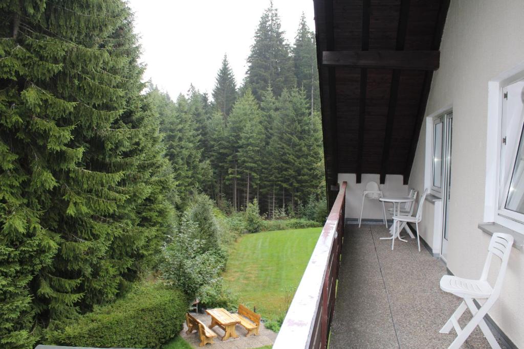 Ferienhaus Frei 1 Hinterzarten - 15
