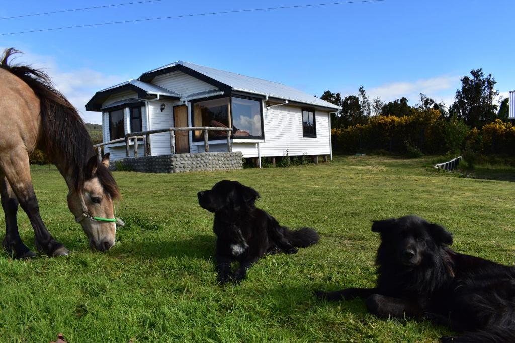 Cabañas Vista Tranquila Chiloé