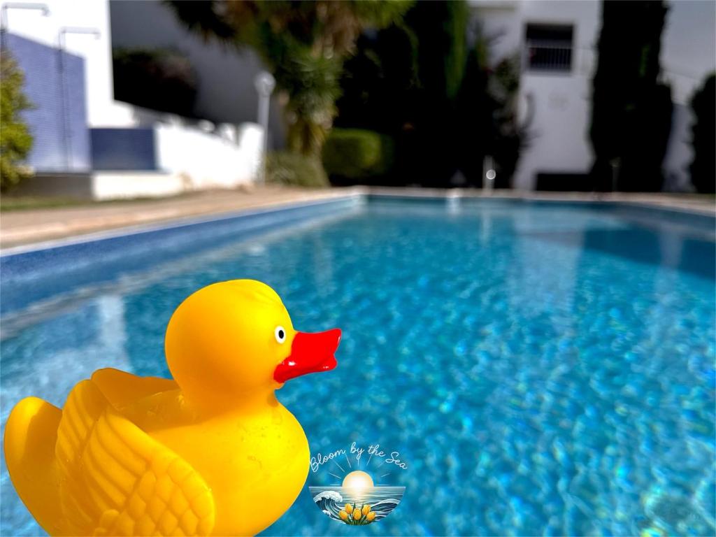 a yellow rubber duck sitting next to a swimming pool at Cozy Escape in Peyia, Sea Caves in Peyia