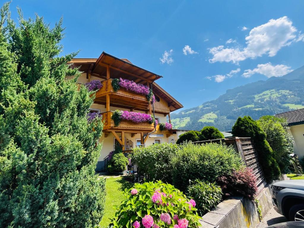 Vista general de una montaña o vista desde el departamento