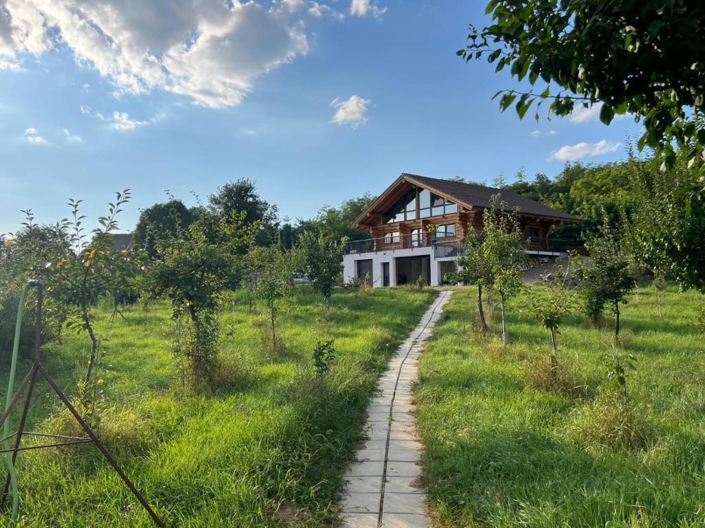 una casa in mezzo a un campo con un sentiero di Oasis Chalet a Lisnău