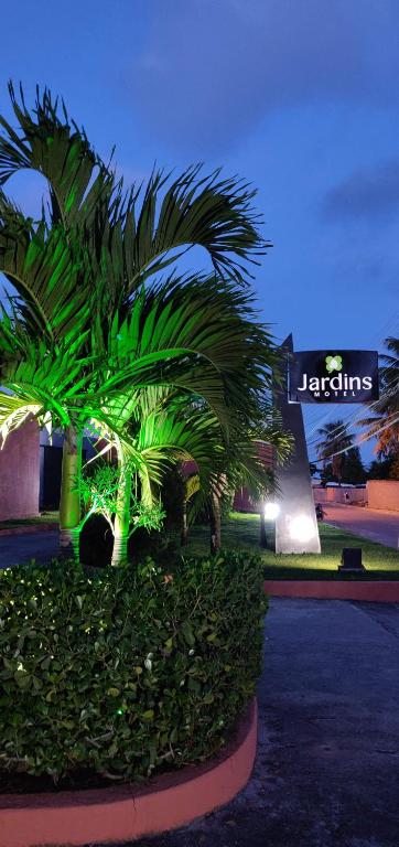 un gruppo di palme in un parco di notte di Jardins Motel (Adults Only) a Maceió