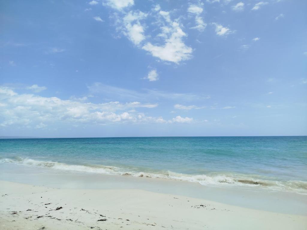 Příroda nedaleko penzionu