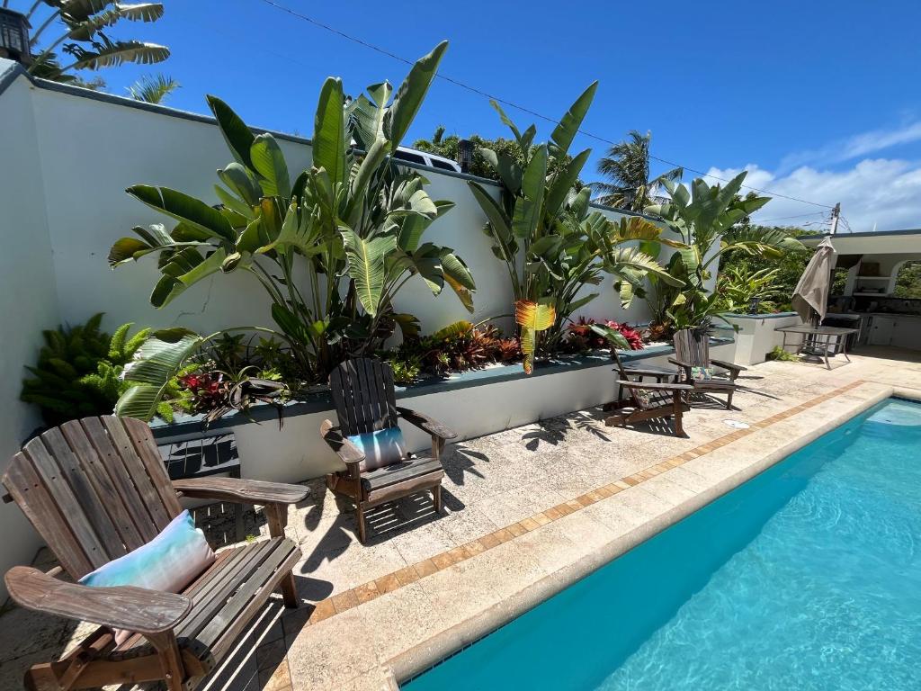 a resort with a pool and chairs and plants at Casa Alta PR in Santa Maria