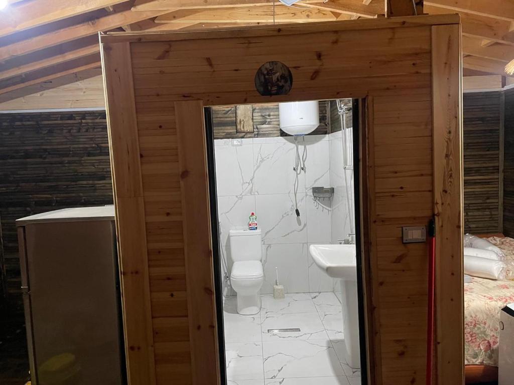a bathroom with a toilet and a sink at Ohel in Mullini i Danit