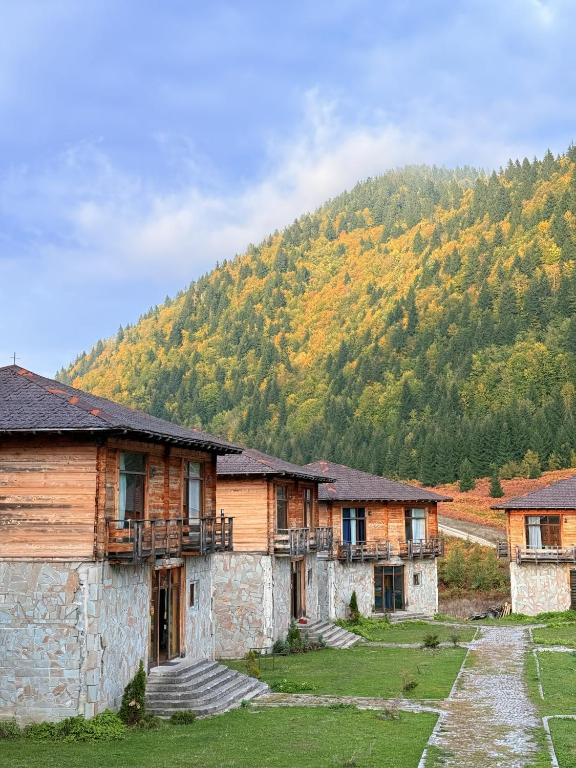 a group of wooden buildings in front of a mountain at პანორამა გომარდული in Gomarduli