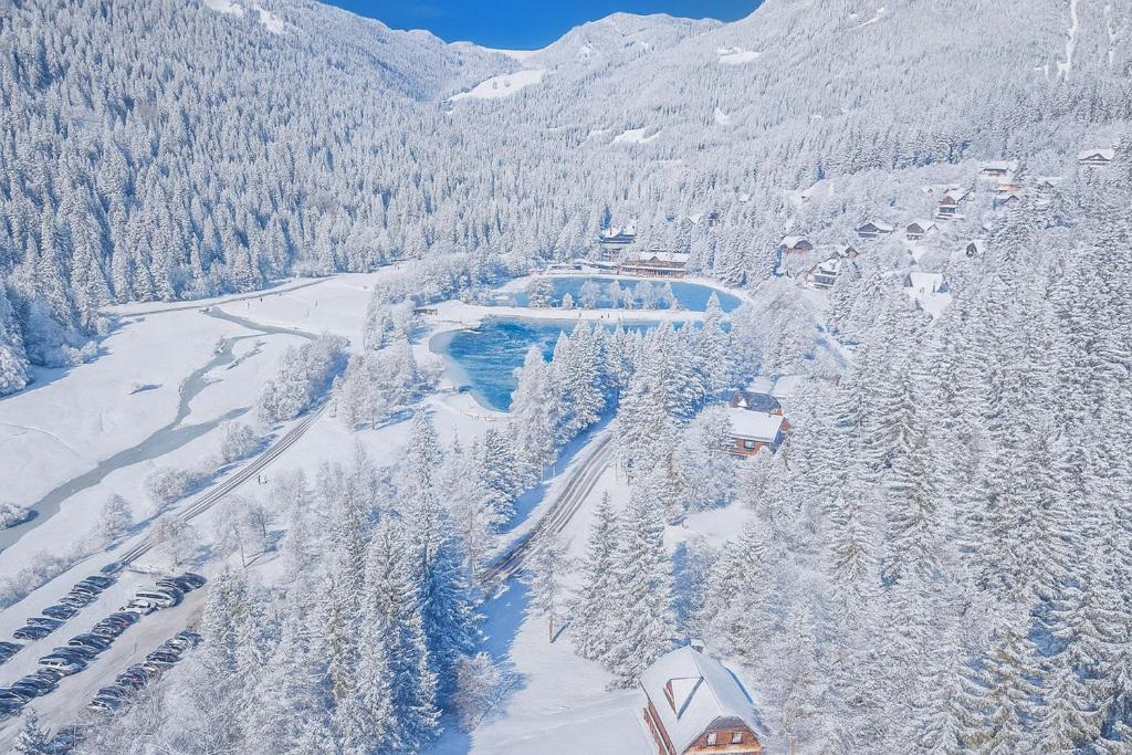 an aerial view of a mountain with snow covered trees at Alpine Retreat Gaja Kranjska Gora - Happy Rentals in Kranjska Gora