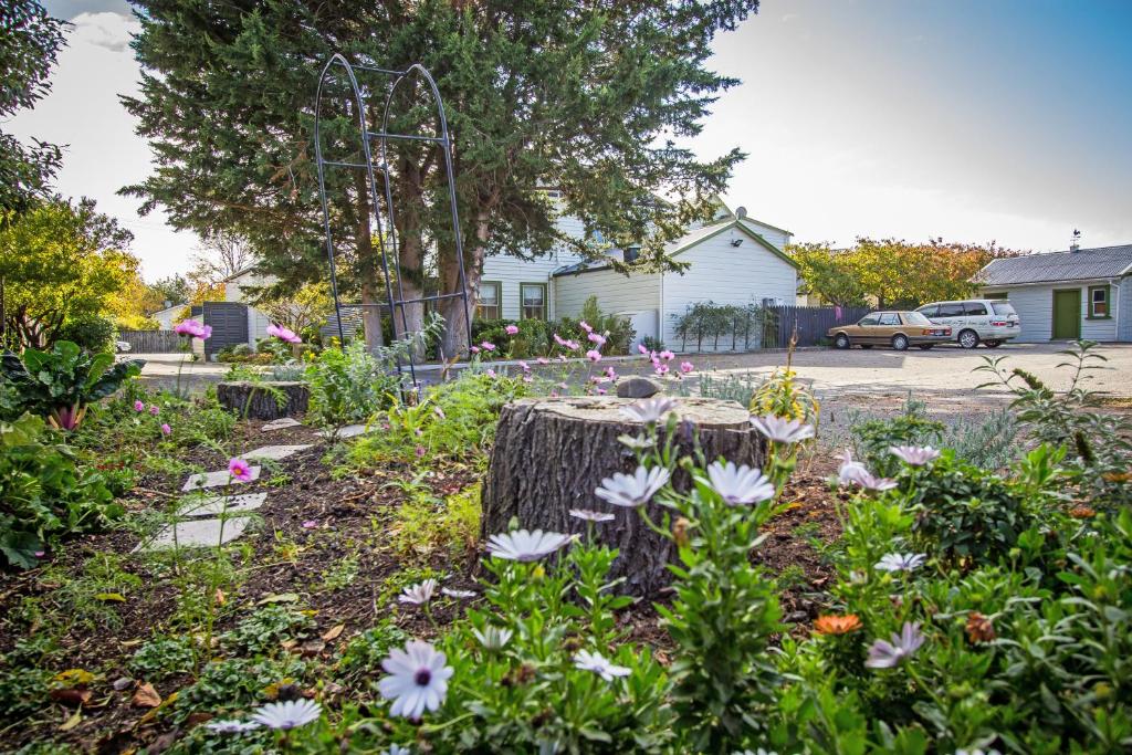 The Greytown Hotel - Resim 34