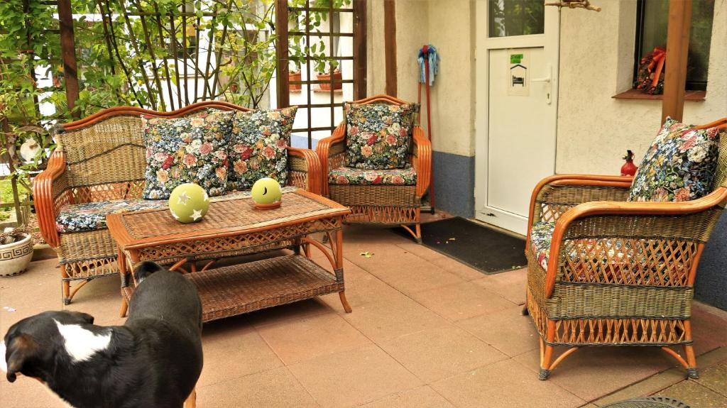 a dog standing on a patio with chairs and a table at Spree Idyll in Lübbenau