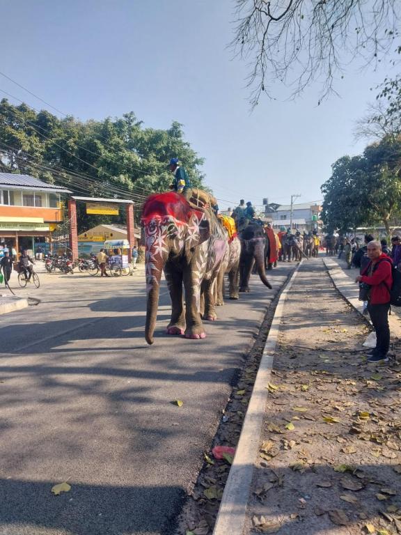 Gasten van Annapurna View Lodge