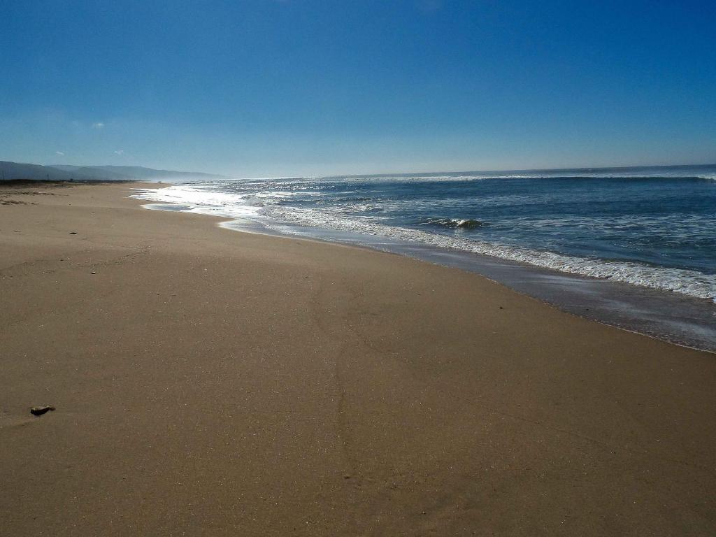 a sandy beach with the ocean on a clear day at Casa Entre Armonías in Zahara de los Atunes