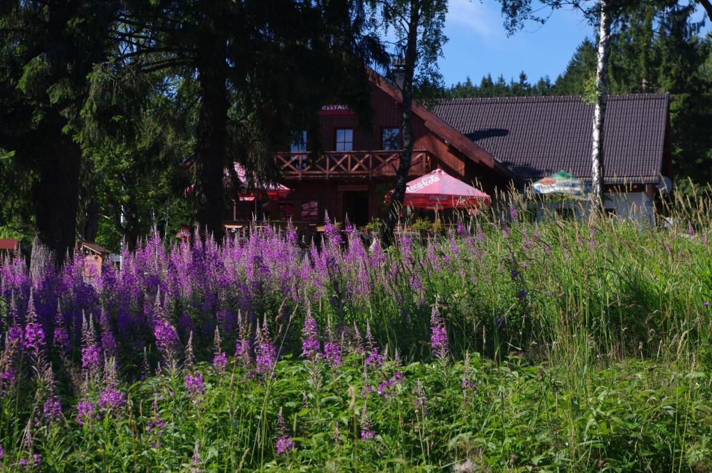 Ogród w obiekcie Penzion Avalanche
