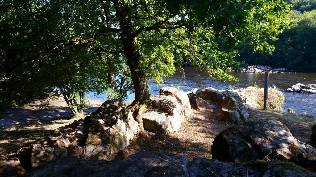 ein Baum und Felsen neben einem Fluss in der Unterkunft Les Cornadis in Saint-Priest-sous-Aixe