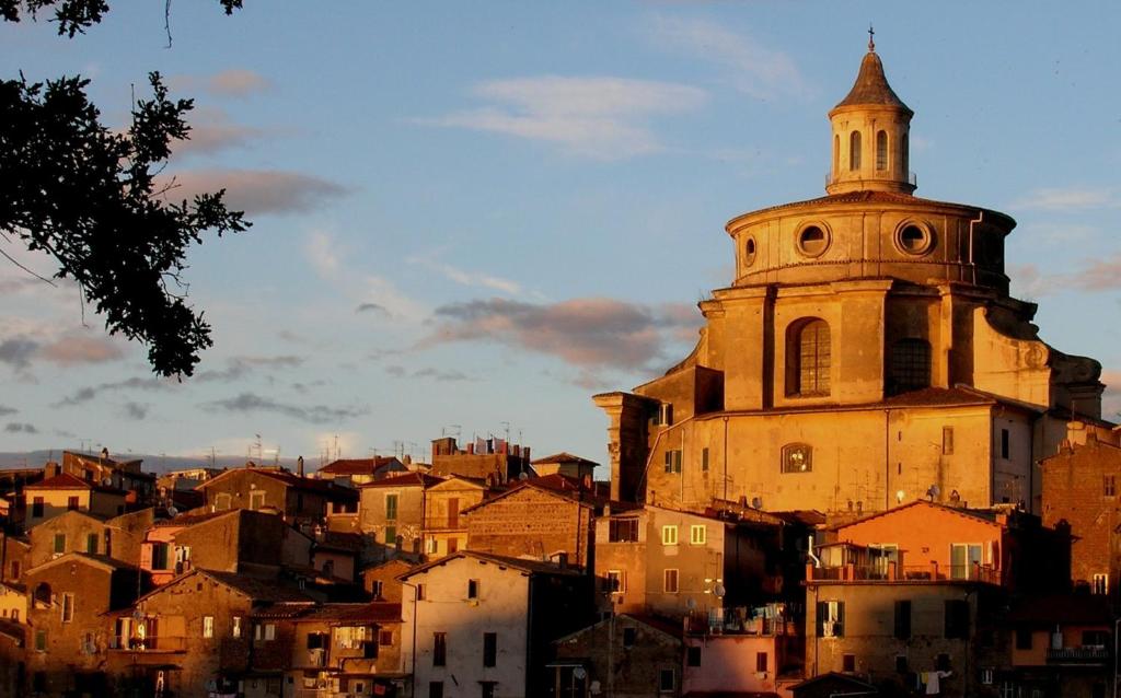Fotografie z fotogalerie ubytování Olive Tree Hill v destinaci Zagarolo