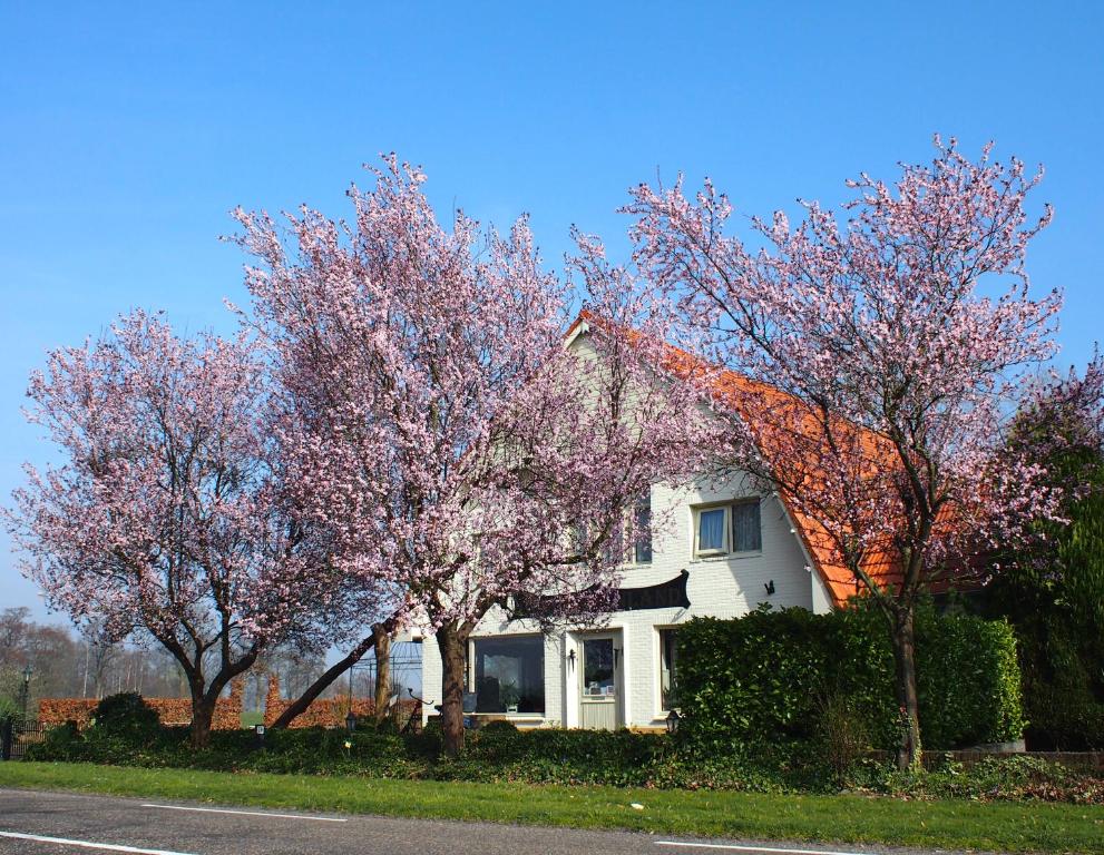 ein weißes Haus mit Bäumen davor in der Unterkunft B&B Sagenland in Harbrinkhoek