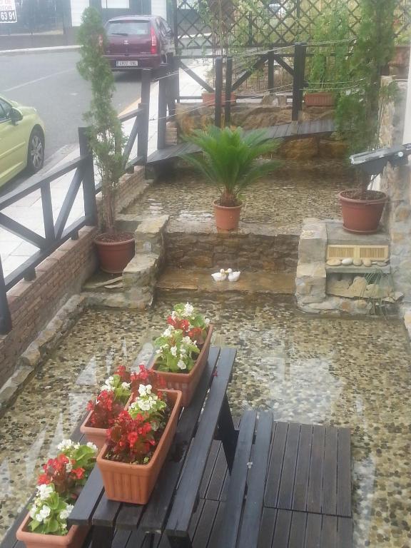 Zahrada ubytování Agua Viva Eco H Wellness Castro Urdiales