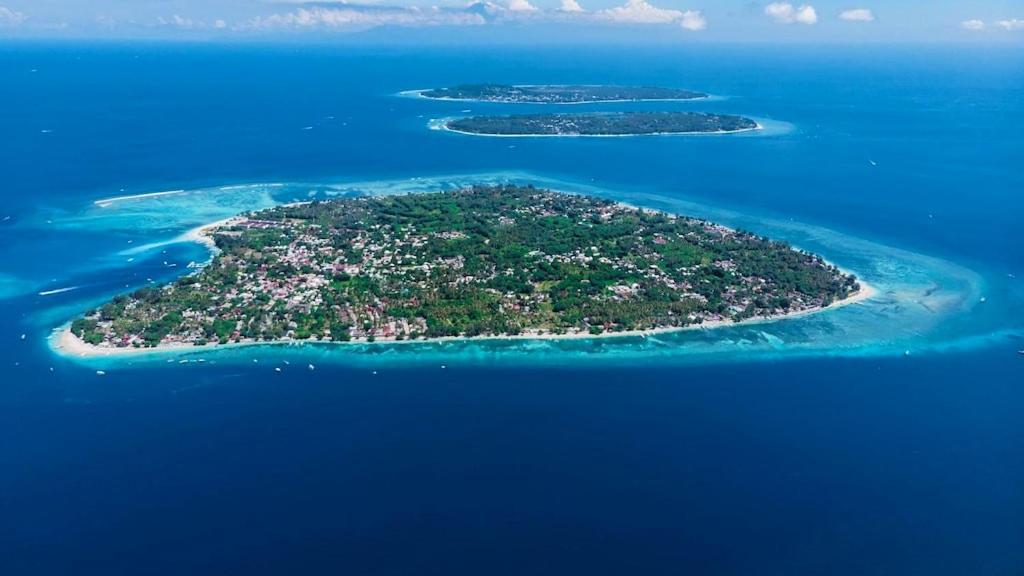 Phong cảnh thiên nhiên gần nhà khách