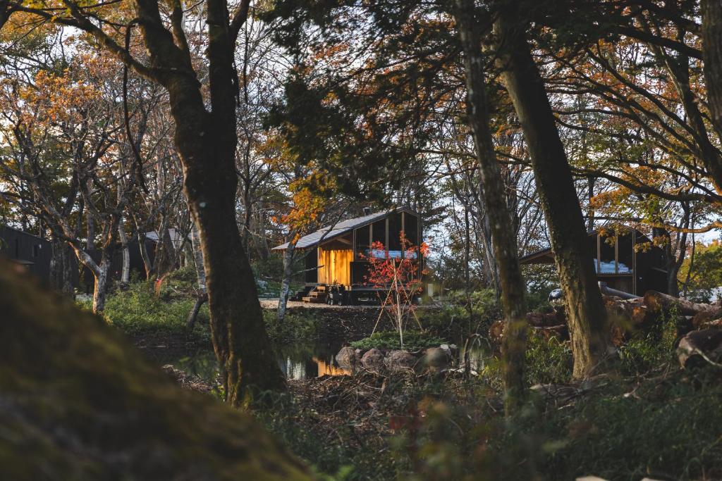 Příroda nedaleko hotelu
