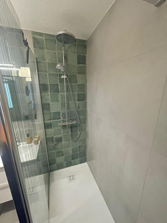Bord du Canal 134 Logement Terrasse Mulhouse – photo 10