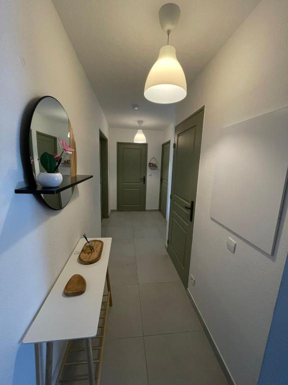 Bord du Canal 134 Logement Terrasse Mulhouse – photo 15