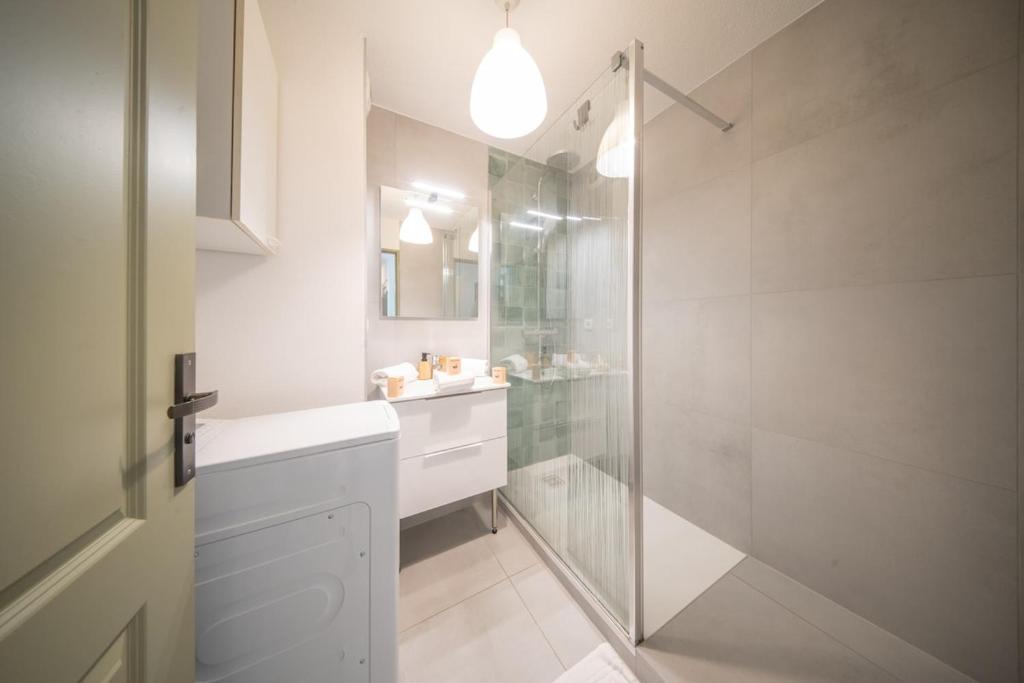 Bord du Canal 134 Logement Terrasse Mulhouse – photo 8