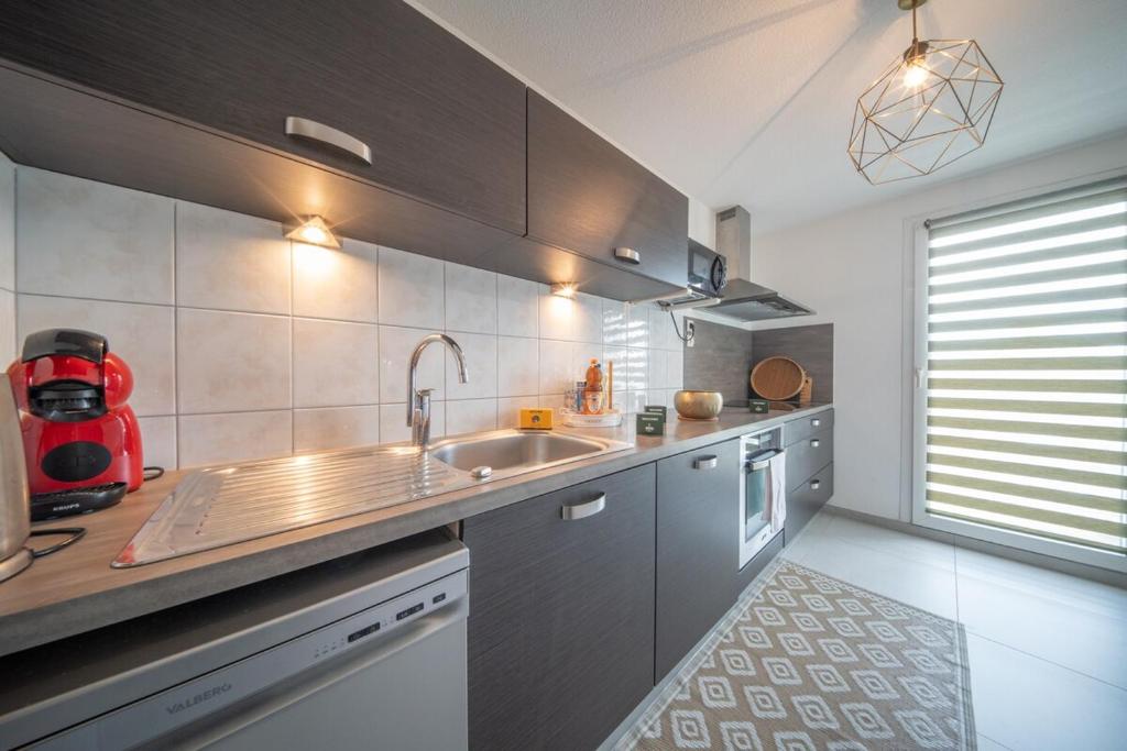 Bord du Canal 134 Logement Terrasse Mulhouse – photo 21